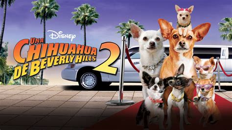 beverly hills chihuahua cast 2|beverly hills chihuahua villains.